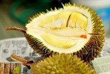 五种“臭味”食物对女人有益
“臭”,不错,下面食物的确会发出一些稍有刺激性气味,但营养专家说,这些食物最利于女性身体健康。【详细】
卫生健康|健康图集