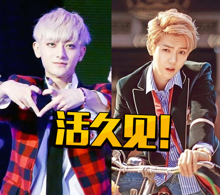 鹿晗黄子韬解约回国后首次互动!黄子韬耿直表白:我爱你!
