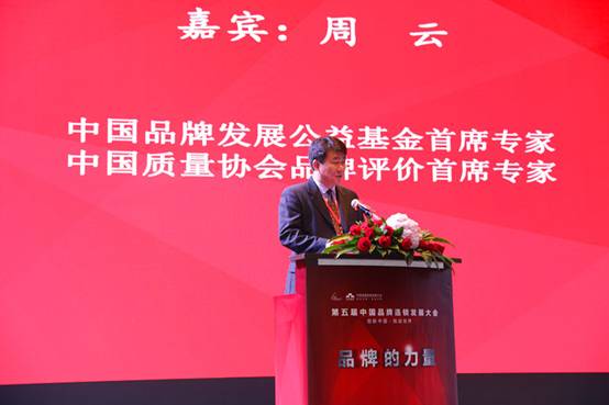 中国品牌发展公益基金首席专家周云发布报告榜单和标准_副本