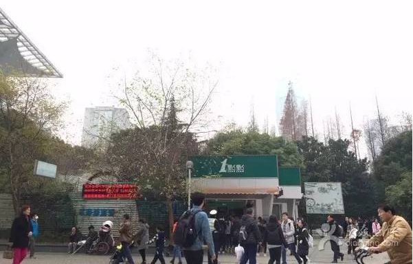 一点点奶茶连锁店加盟费多少钱