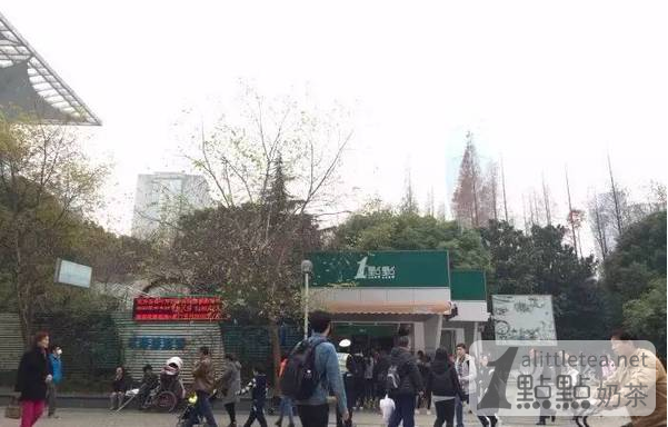 一点点奶茶成就你的事业