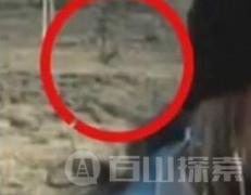 女子竟产下外星BB 吓死宝宝！