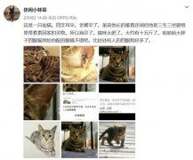 杨幂爸晒洋房小花园好不惬意 但幂爸微博里暴露了杨幂不少秘密~