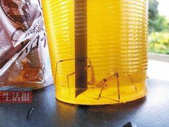 奶茶里喝出大蜘蛛 男子获10倍消费价格的赔偿(组图)