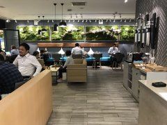 喜茶、一点点、奈雪...为了找到中国最好喝的奶