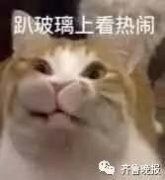 一条有毒的推送语，好多网友都被它气到卸载！更精彩的是网友评论....