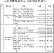 永乐文化新三板融资2亿：9000万还贷 项目投资成