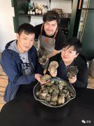 华人去挖丹麦生蚝 回应国人：吃下去有大海的味道