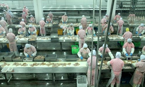 【 中国食品机械设备网 地方新闻】据悉,吉林省榆树市正大集团签署